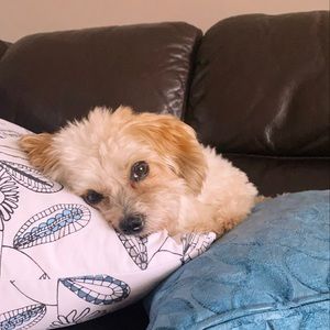 Meet your Posher, Makayla